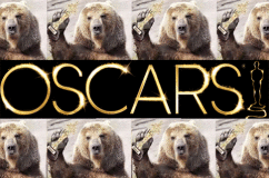 Gli Oscar della redazione